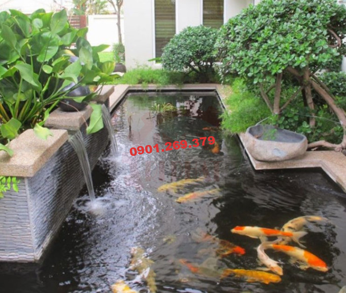 thác nước hồ cá koi